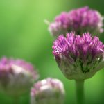 玩转pg电子老虎机,掌握赢取大奖的秘诀 4zdmx