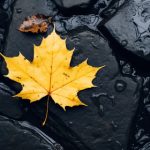 806311开奖结果最新公布,速来查看中奖详情 mh16d